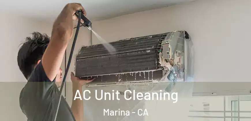  AC Unit Cleaning Marina - CA